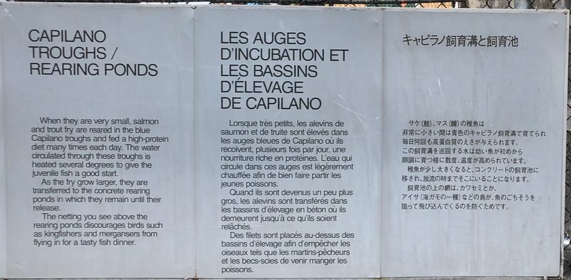 Capilano Troughs / Rearing Ponds trilingual interpretive sign